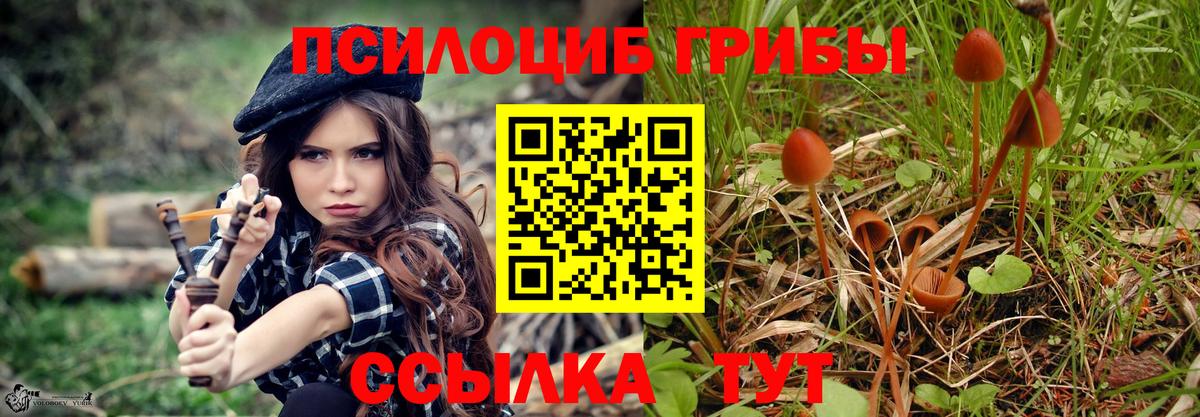 Псилоцибиновые грибы Cubensis Джанкой