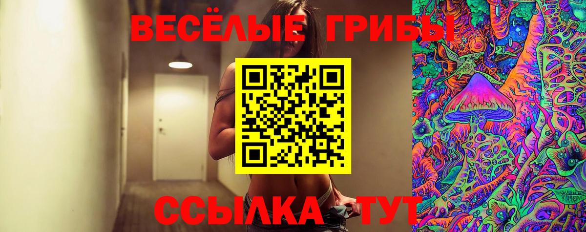 купить наркотик  Галлюциногенные грибы мухоморы  Вход с VPN  Джанкой 