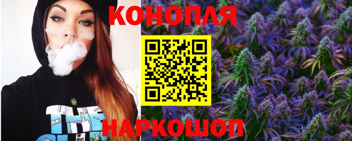 Каннабис сатива Джанкой